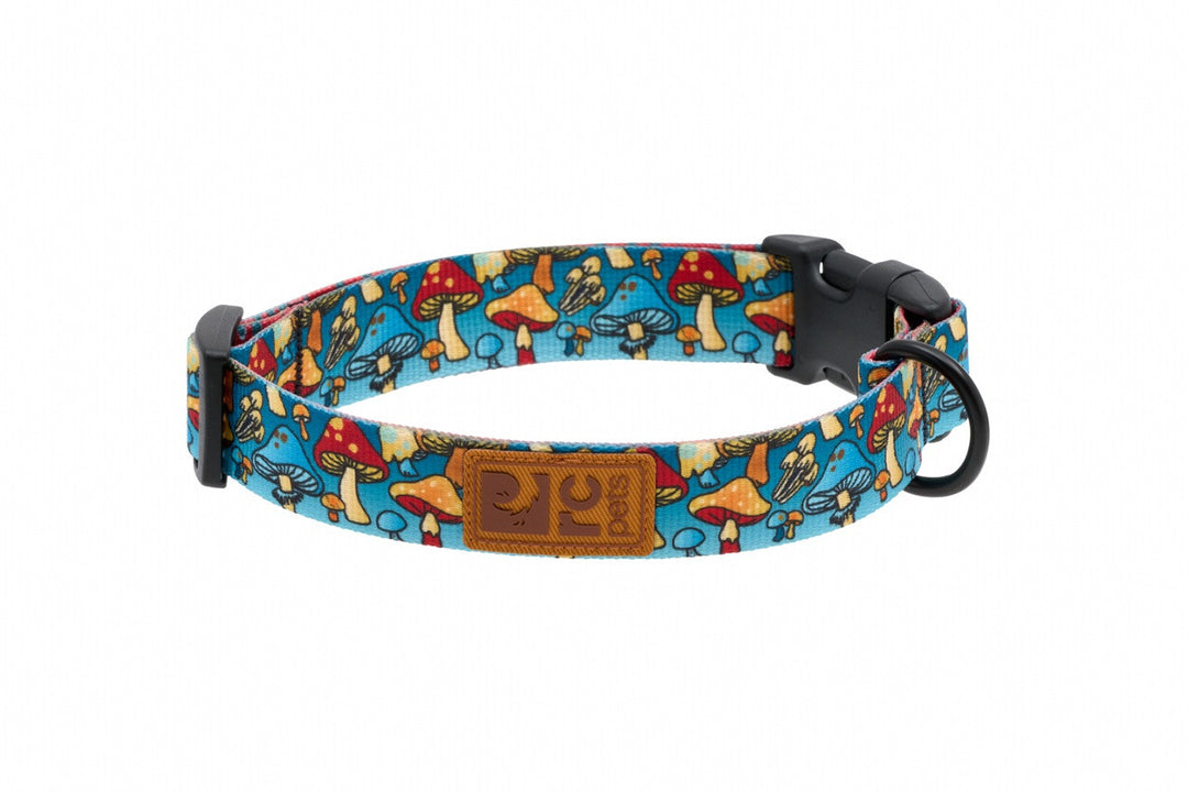 RCP Collier Éco Motifs XS-S 1/2 Champignons