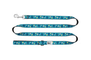 RCP Laisse Motif 1x72
