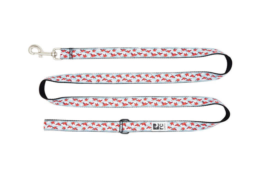 RCP Laisse Motif 3/4x72" Dans les Nuages