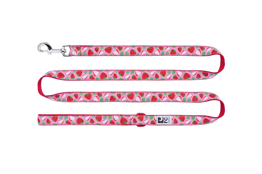 RCP Laisse Motif 3/4x72" Fraises