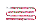 RCP Laisse Motif 3/4x72