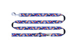Voir l’image dans la galerie, RC Pets - Laisse à Motifs Sushi - Laisse pour Chiens