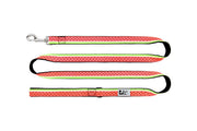 RCP Laisse Motif 1x72
