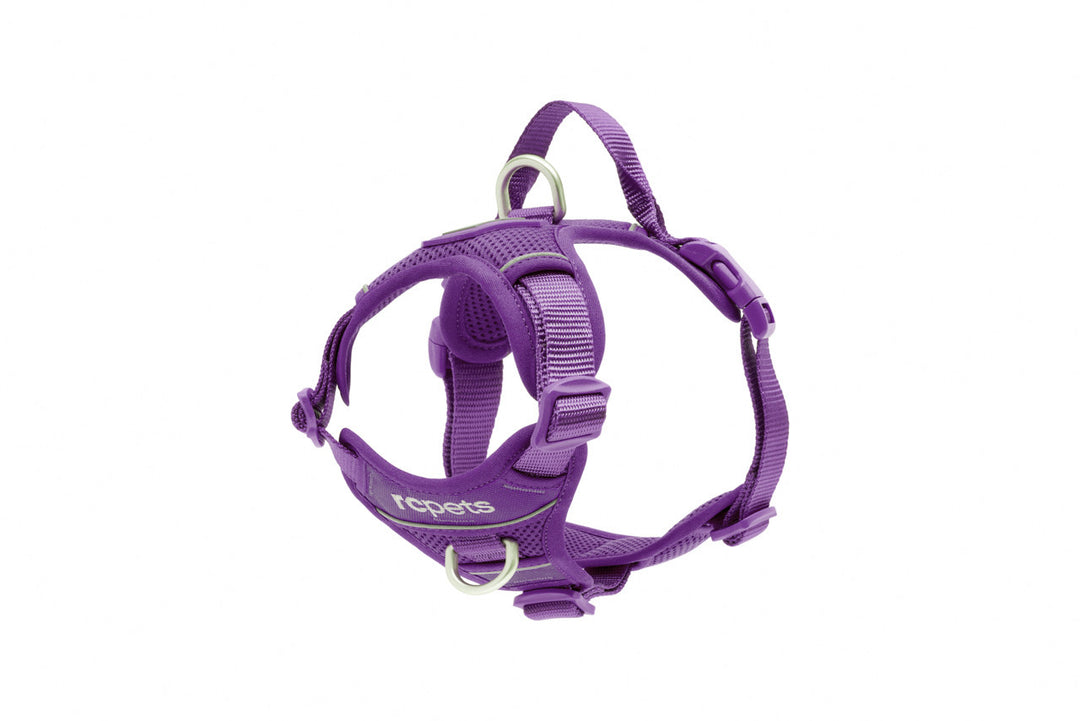 RCP Harnais Contrôle Momentum S Mauve