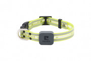 RC Pets - Collier Lumineux à DEL Nova Tennis - Collier pour Chiens