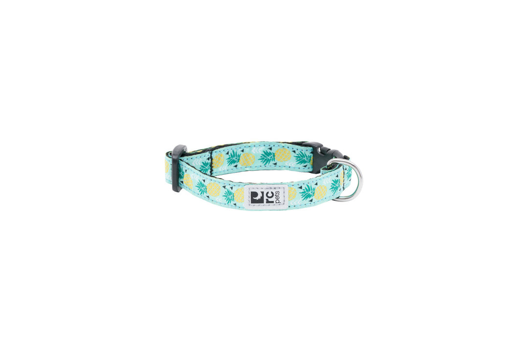 RC Pets - Petit Collier à Motifs Parade d'Ananas - Collier pour Chiens
