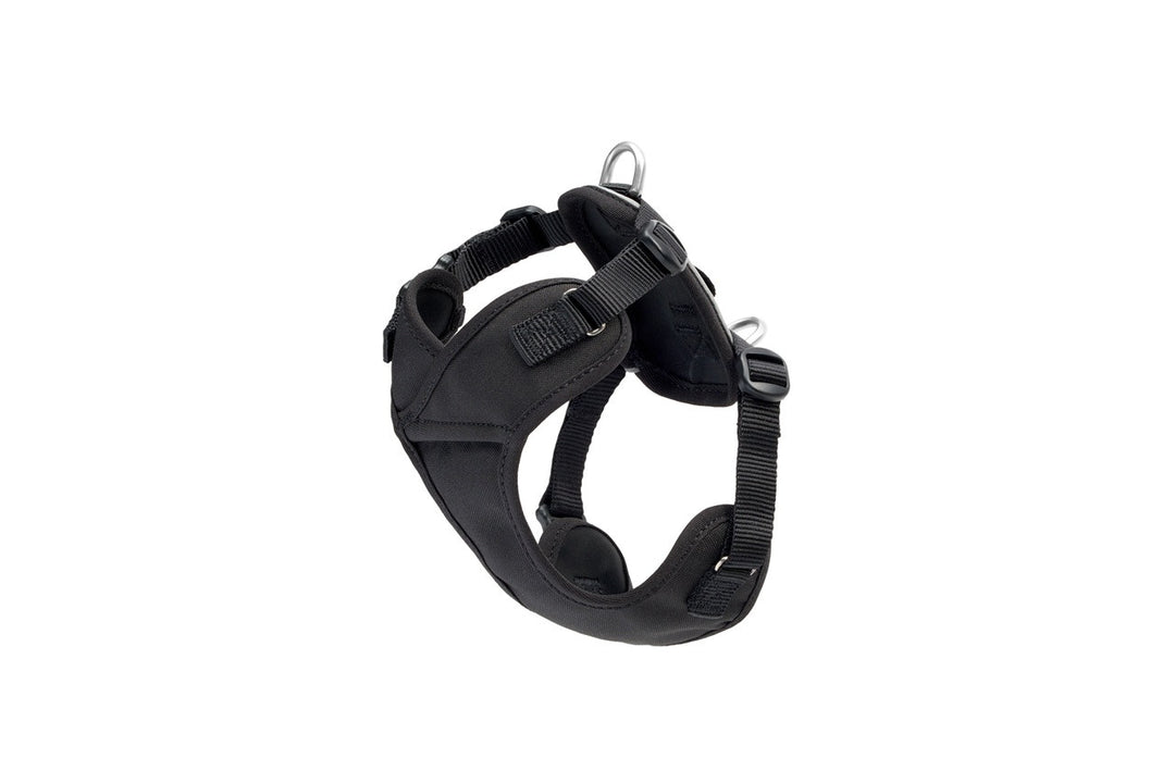 RCP Petit Harnais Explorateur XXS Noir