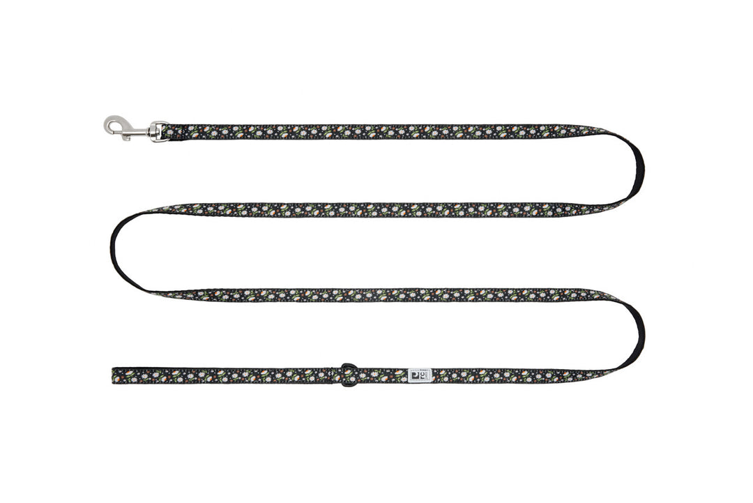 RCP Petit Laisse  à Motifs 1/2x72" Marguerites
