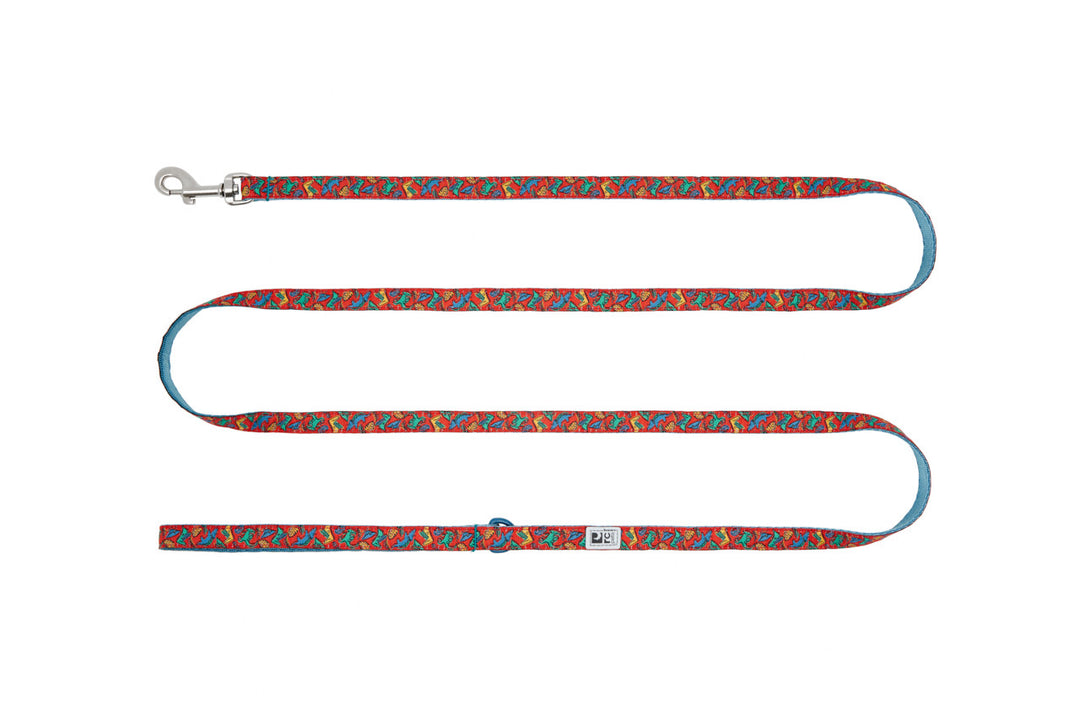 RC Pets - Petite Laisse à Motifs 1/2" x 72" Dinos Enjoués - Laisse pour Chiens