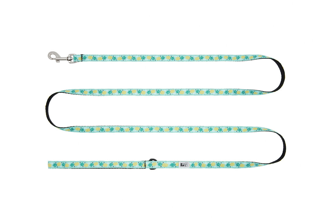 RC Pets - Petite Laisse à Motifs 1/2" x 72" Parade d'Ananas - Laisse pour Chiens