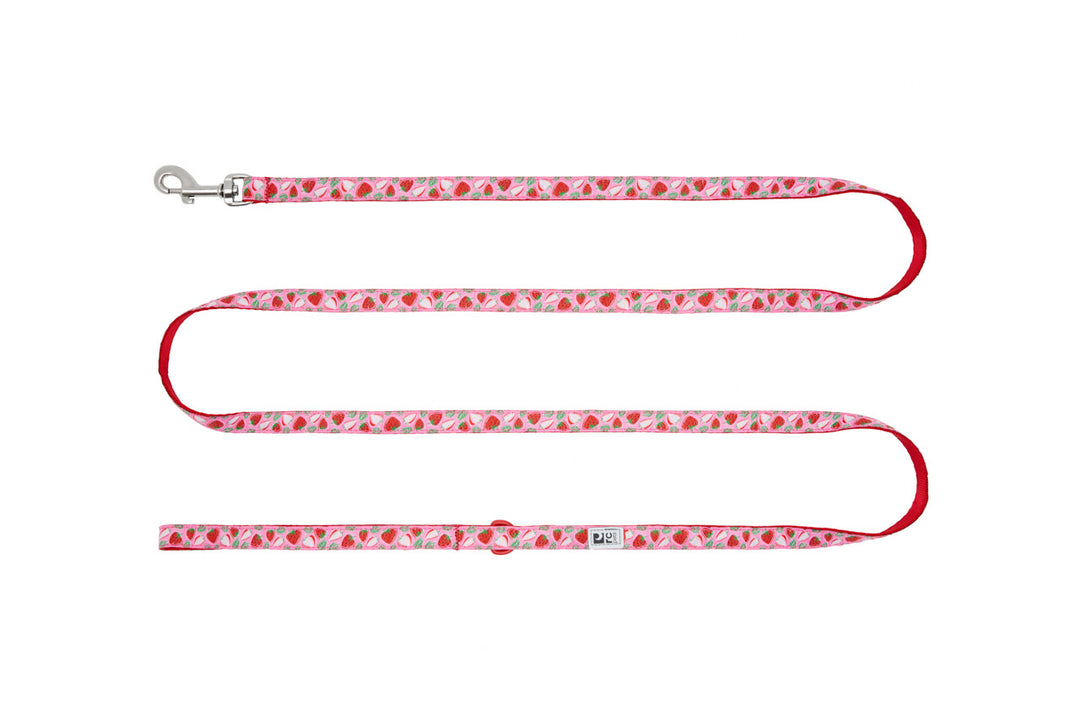 RCP Petit Laisse  à Motifs 1/2x72" Fraises