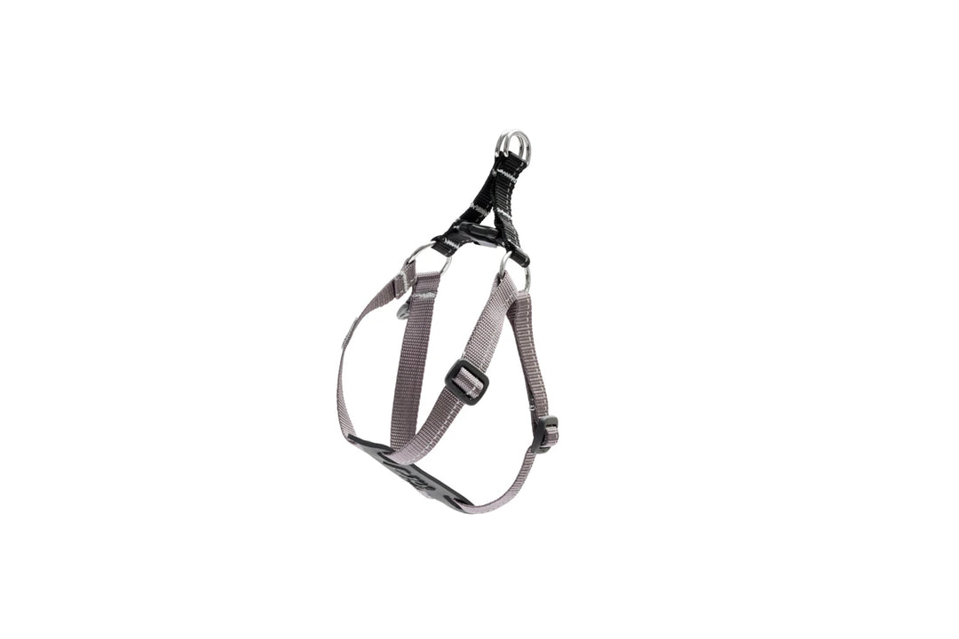 RCP Petit Harnais Step-In XXS Noir