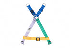 Voir l’image dans la galerie, RCP Harnais Base Step-In Base XL Confiserie