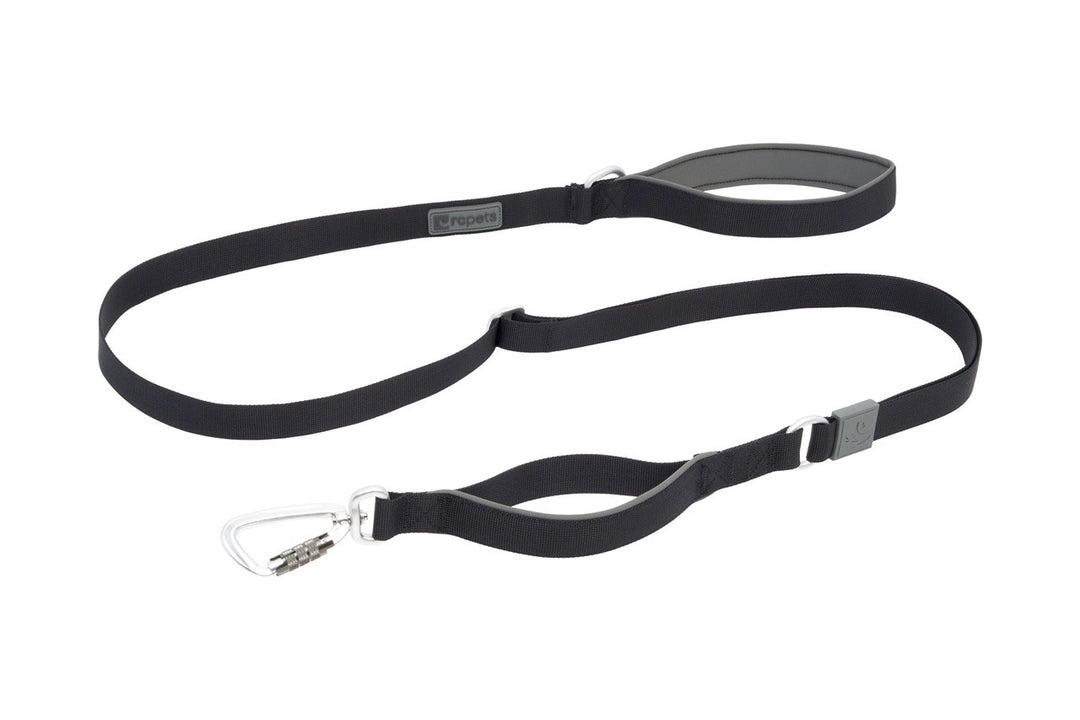RC Pets - Laisse Stratus 1" x 7 pi Noir - Laisse pour Chiens
