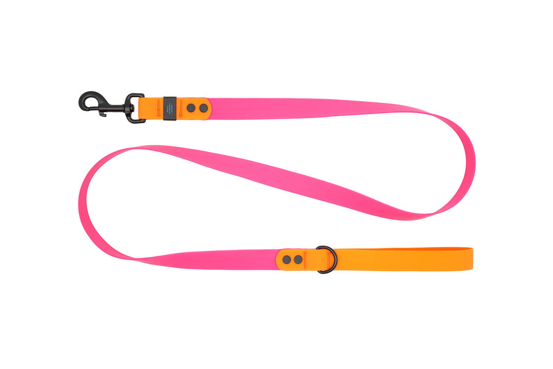 RCP Laisse Imperméable 1x60" Azalée/Orange