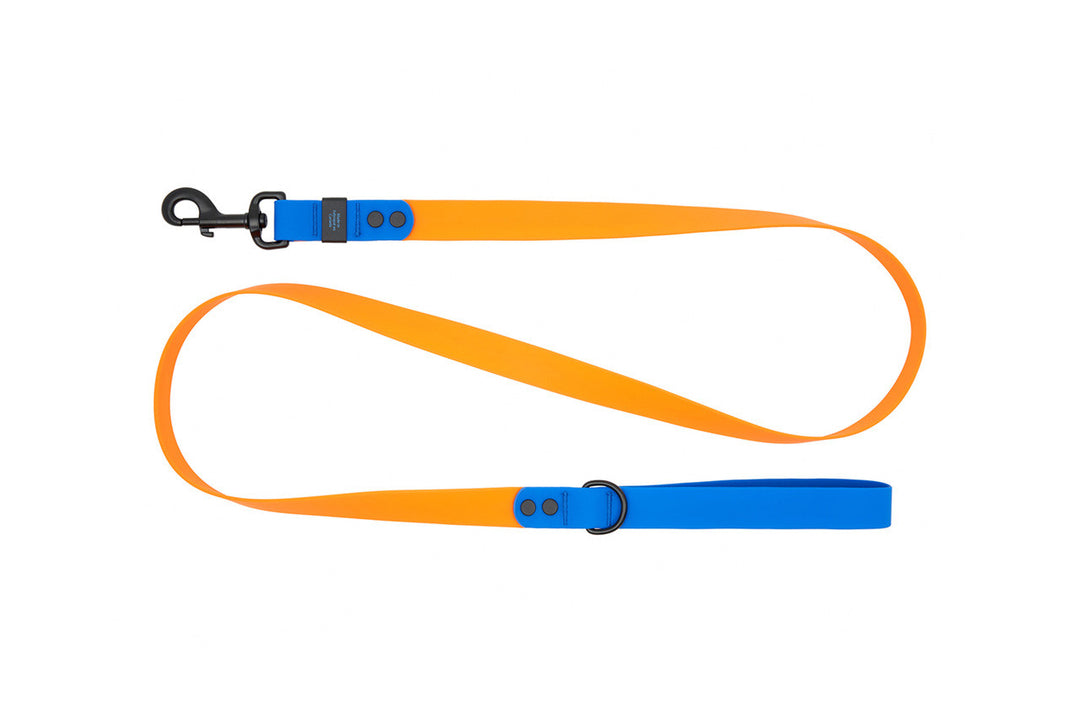 RCP Laisse Imperméable 3/4x60" Orange/Saphir