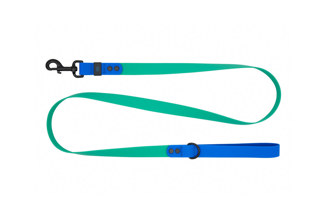 RC Pets - Laisse Imperméable Perruche/Saphir - Laisse pour Chiens