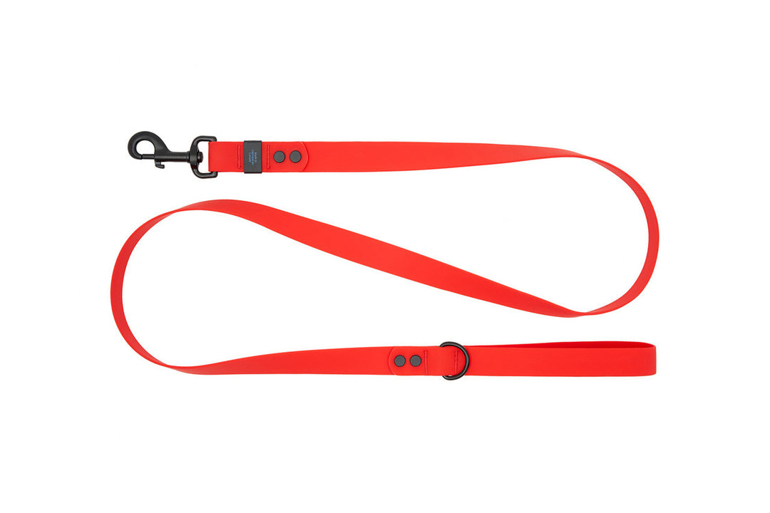 RCP Laisse Imperméable 3/4x60" Rouge
