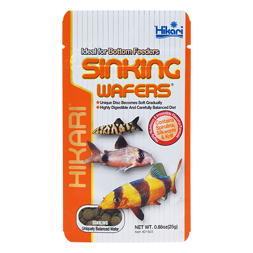 HIKARI Nourriture Sinking Wafers 1.76oz