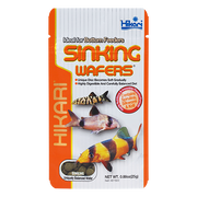 HIKARI Nourriture Sinking Wafers 1.76oz