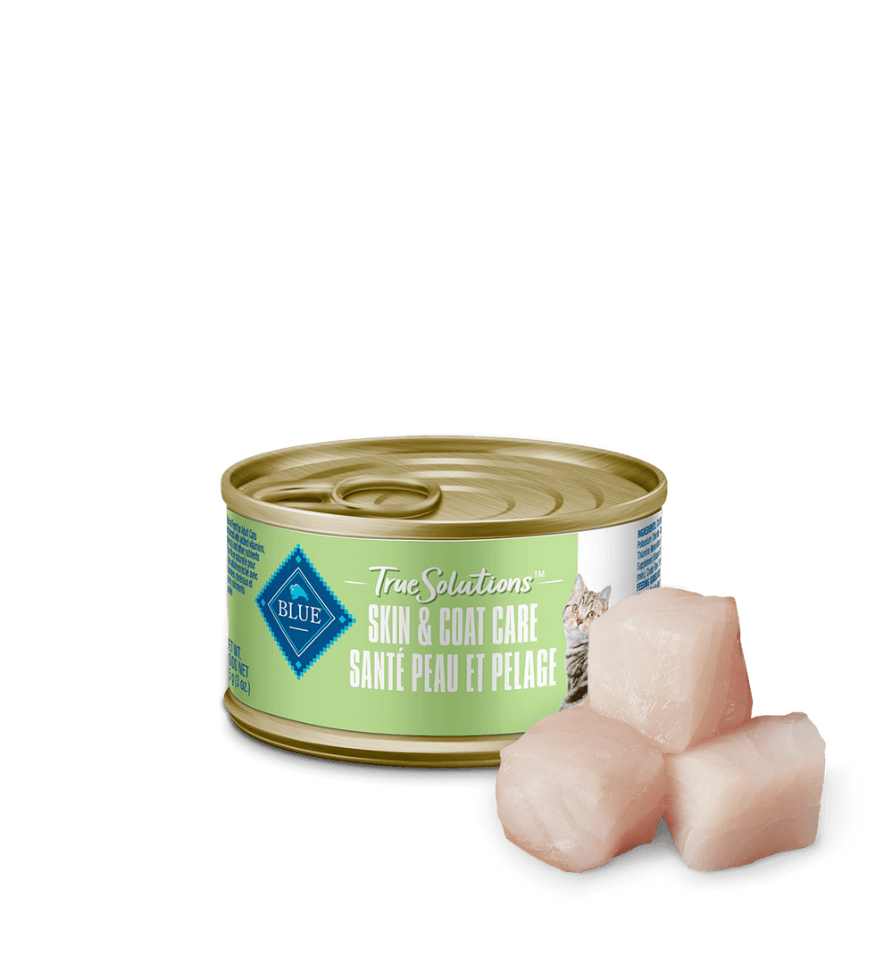 Blue Buffalo True Solutions - Chat Adulte Santé Peau & Pelage en Pâté - Nourriture Humide pour Chats