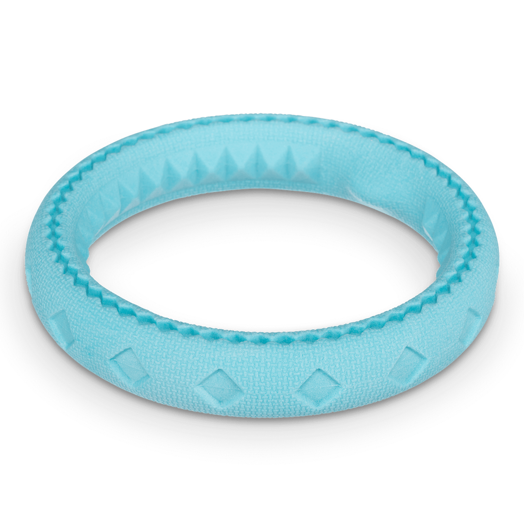 Messy Mutts Totally Pooched - Jouet Anneau Chew'n Tug en Caoutchouc pour Chiens, 6.5"