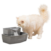 Petsafe - Drinkwell Fontaine à 2 Niveaux - Fontaine pour Chiens et Chats
