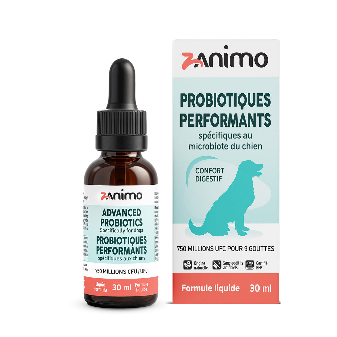 Zanimo - Probiotiques Performants - Supplément Liquide pour Chiens
