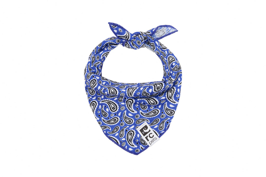 RCP Bandana Refroid Zephyr S/M Rebelle Bleu